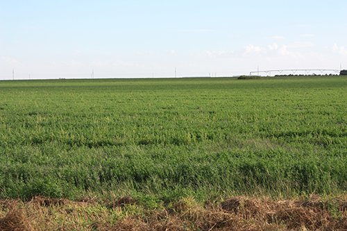 Property photo 64 - LAND AUCTION, 3255+/- Acres offered in 13 Tracts